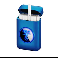 Cigarette Case With Lighter - Master